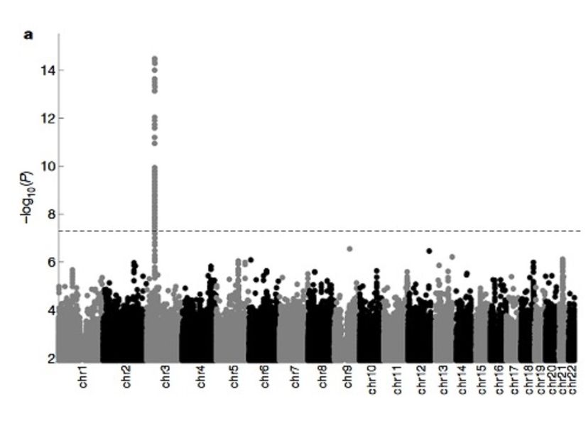 Genetik varyantların şiddetli Covid-19 hastalarıyla ilişkisini gösteren grafik. Hastaneye yatırılması gereken 3,199 hastanın ve kontrol grubu olarak 897,488 kişinin genetik verileri karşılaştırıldı.