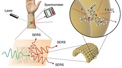 Erişte benzeri altın ipliklerden yapılmış yeni bir Raman kimyasal sensör