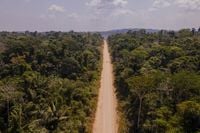 Brazil’s Amazon Soy Moratorium at Risk: The Global Cost of a Step Back - Mighty Earth