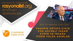 Büyük Tarih - 4: Yaşamın Ortaya Çıkışı ve İnsana Giden Yolda Adımlar