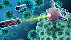 Kanser ve Nanoteknoloji