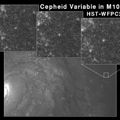 The Cepheids of M100