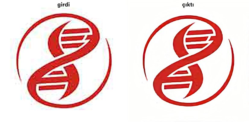 Çözünürlüğü artırılmış Evrim Ağacı logosu