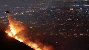 Los Angeles Wildfires: Struggle For Recovery And Accountability