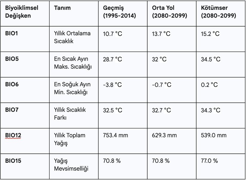 Temel biyoiklimsel değişkenlerde geçmiş ve gelecek arasındaki çarpıcı farklar