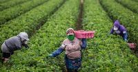 Tariffs and deportations seen as contributors to rising prices and fewer immigrant workers