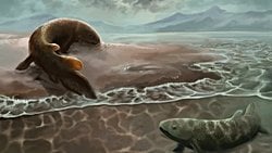 Akciğerli Balıklar 400 Milyon Yıl Önce Karaya Çıkmaya Çalışmış Olabilir!