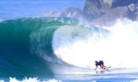 Picking favourites on the WSL | Noosa Today