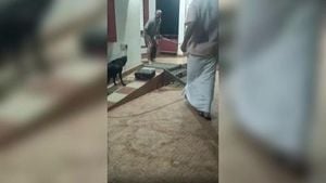 Rising Dog Attacks Spark Global Debate On Safety Laws