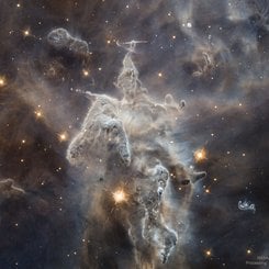 Yok Edilen Gizemli Dağ Canavarı