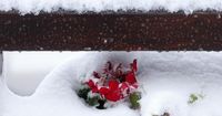 Bulgarian resort floods leave 3 dead, while heavy snow downs Balkan power lines