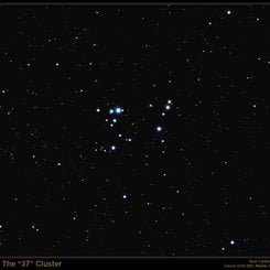 The 37 Cluster