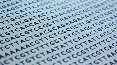 İnsan Evriminin Devam Ettiğini Gösteren İzler