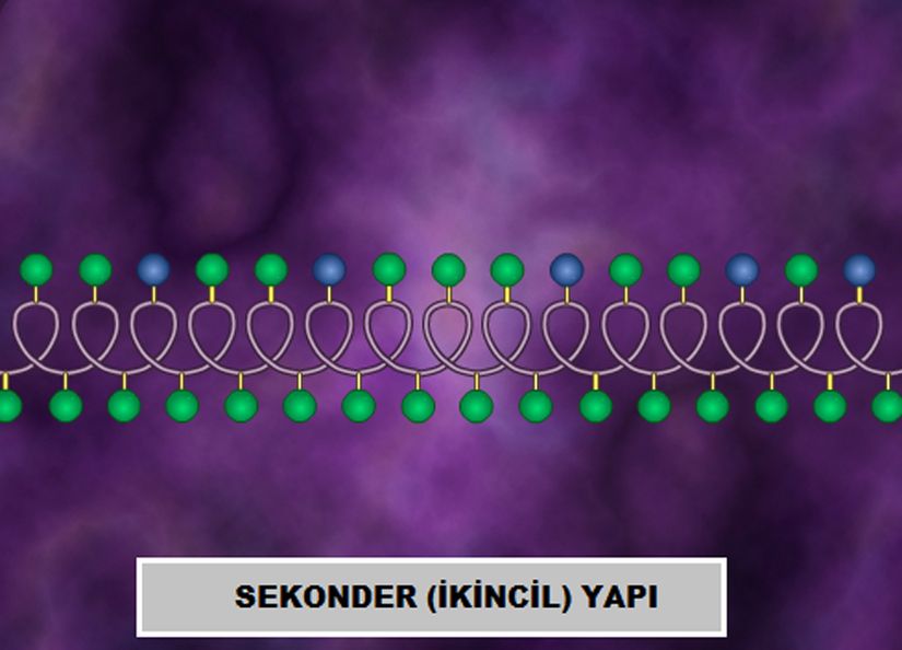 Sekonder Yapı