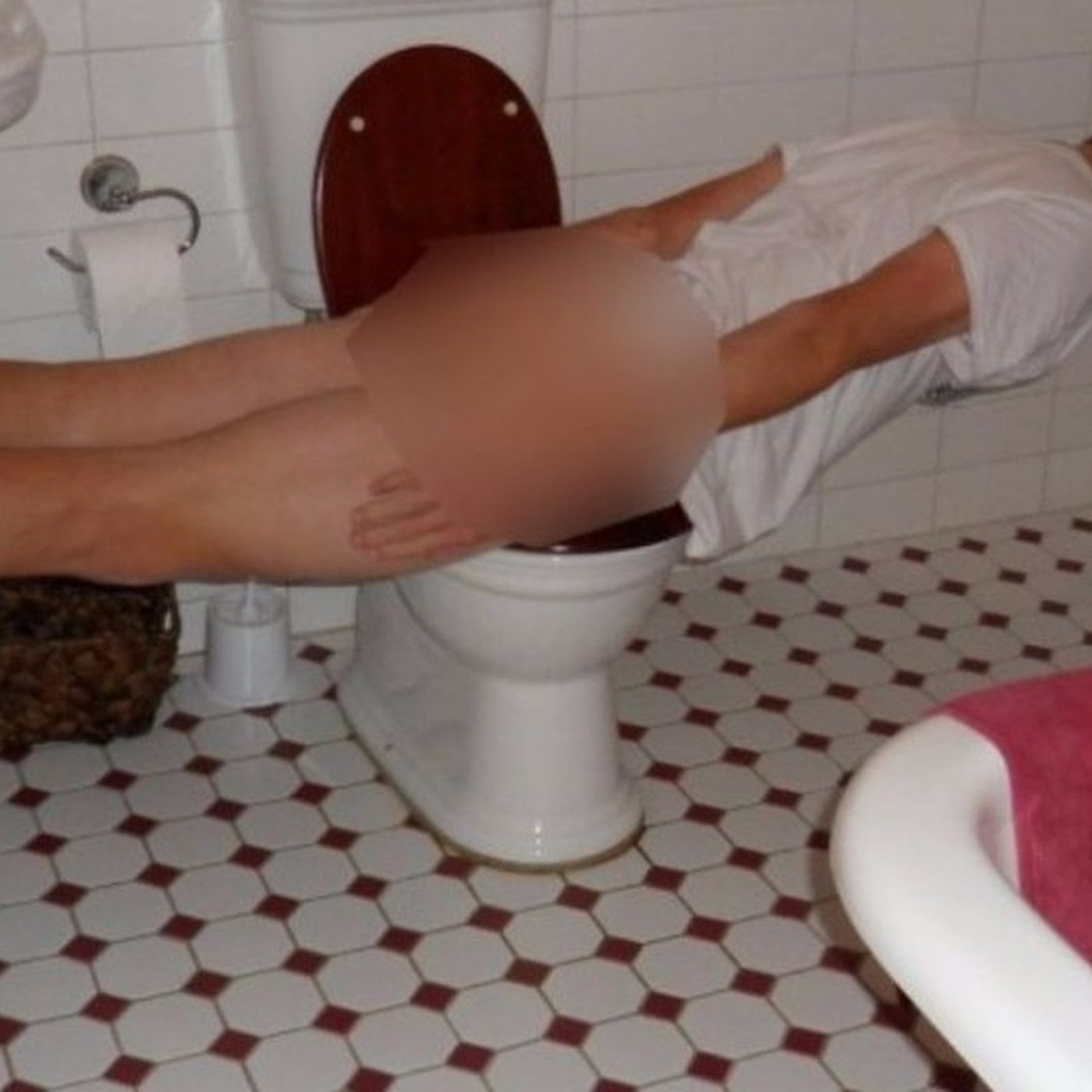 Evrim Ağacı ile Bilime Dair Her Şey!