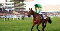 Cheltenham Gold Cup winner will not attempt to break 92-year record at Aintree