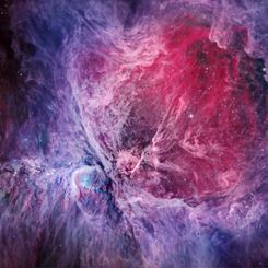  The Orion Nebula in Visible and Infrared 