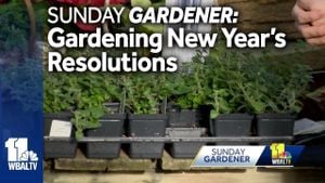 Gardening Resolutions For A Healthier 2025