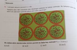 Bu sebze Ekim alanlarından birinin çevresi en fazla kaç metredir?