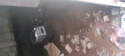 Biz arkadaşım ile bu odada su olmadan içeri girdik. Ayakkabıma su girdiğinde hemen dışarı çıktık. Suda amip olduğundan şüpheleniyoruz. Sizce suda amip var mıdır, varsa ne olur?