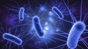 Targeting E. Coli Strains Could Reduce Cancer Risk