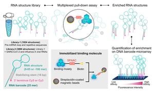 New Technique Reveals Complex RNA Interactions Within Chromatin