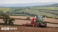 Batters review: 'Bewildered' farmers need new deal to be profitable