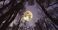 Fases de la luna del 14 al 20 de abril, ¿Sigue la Luna Llena?