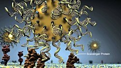 SNA: Yapay, Küresel Nükleik Asitler!