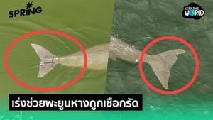 Surat Thani Officials Tackle Flooding Crisis Amid Heavy Rains