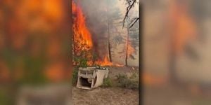 Colorado Wildfires Rage Across State Amid Drought