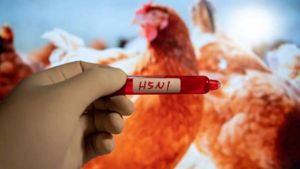 First Human Case Of Bird Flu Confirmed In California Child