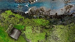 Bir MIT araştırmacısının sıfır elektrik soğutma sistemi gıda kıtlığını nasıl azaltabilir?