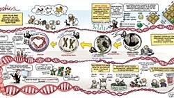 Genetik Biliminin Gelişimi
