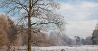 New Beast from the East to batter UK hitting 25 English counties