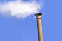 White smoke heralds election of new pope