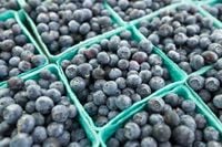 Recall alert: Hundreds of boxes of blueberries could contain listeria