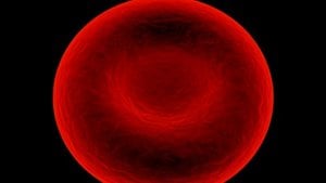 Evrim'i Destekleyen/Kullanan Bilimler - 2: Hematoloji ve Kan Grupları