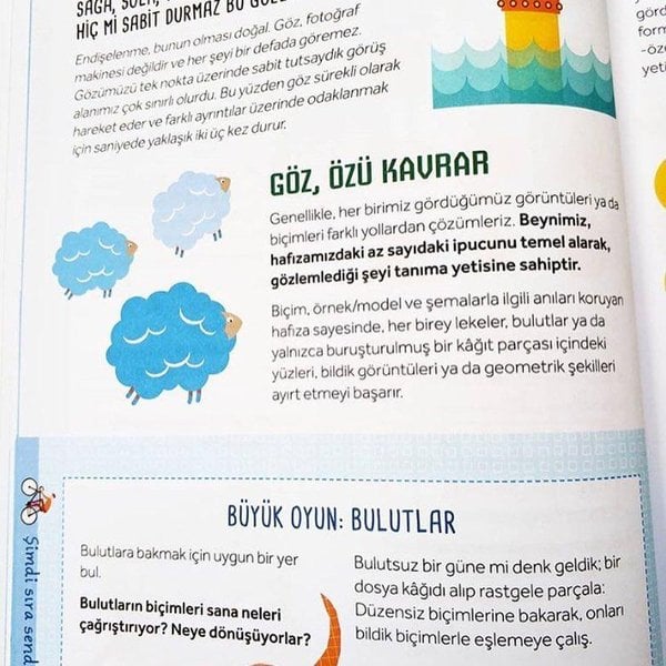 Çalıştır Saksıyı: Beyni Geliştirmek İçin Oyunlar, Aktiviteler ve İpuçları (Carlo Carzan, Sonia Scalco)