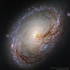  Spiral Galaxy M96 from Hubble 