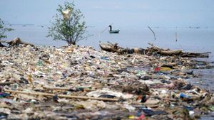 Global Negotiators Fail To Conclude Plastic Pollution Treaty