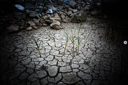 İklim Krizi ile türkiye'de nasıl projeler çalışılabilir?