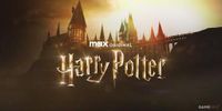 HBO Harry Potter Series Actor Turns Instagram Comments Off Following Fan Backlash.