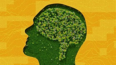 Yapay Zeka Bir Şeyler Hissedebilir mi? Hissedebilirlik Kapasitesi Olmadan Yapay Genel Zekaya Ulaşabilir mi?