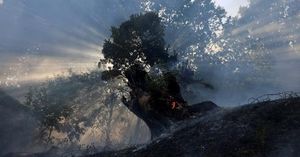 COP30 Summit In Brazil Ends With Fragile Climate Deal