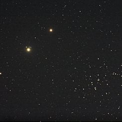 Planets, Bees, and a Donkey