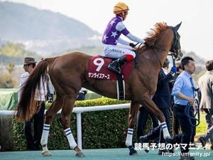 Hidentoole Leads Strong Field In Tenno Sho Spring