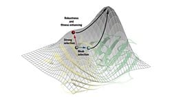 Evrilebilirlik Nedir? Evrimleşebilirlik, Bir Canlının Evrim Hızını Nasıl Etkiler?