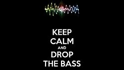 Skrillex'in Bilimi: Konuşan Bas Fenomeni