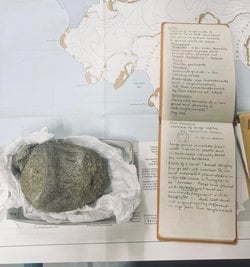 40 Yıl Çekmecede Kalan Fosil, Antarktika'nın İlk Dinozor Kanıtı Çıktı.